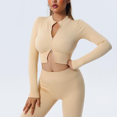 Best Selling Workout Seamless Long Sleeve Crop Tops