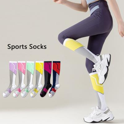 Custom Horse Riding Socks Sports Breathable Socks Knee High Nylon Crew Socks