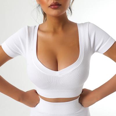 Custom Low MOQ Stretchy Crop Top T-shirts for Women