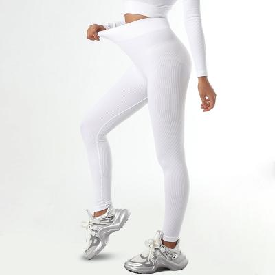 High Quality Stocked Ribbed Seamless Yoga Leggings