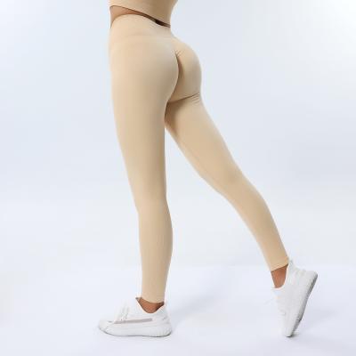 LOW MOQ Fitness Seamless Leggings for Women 